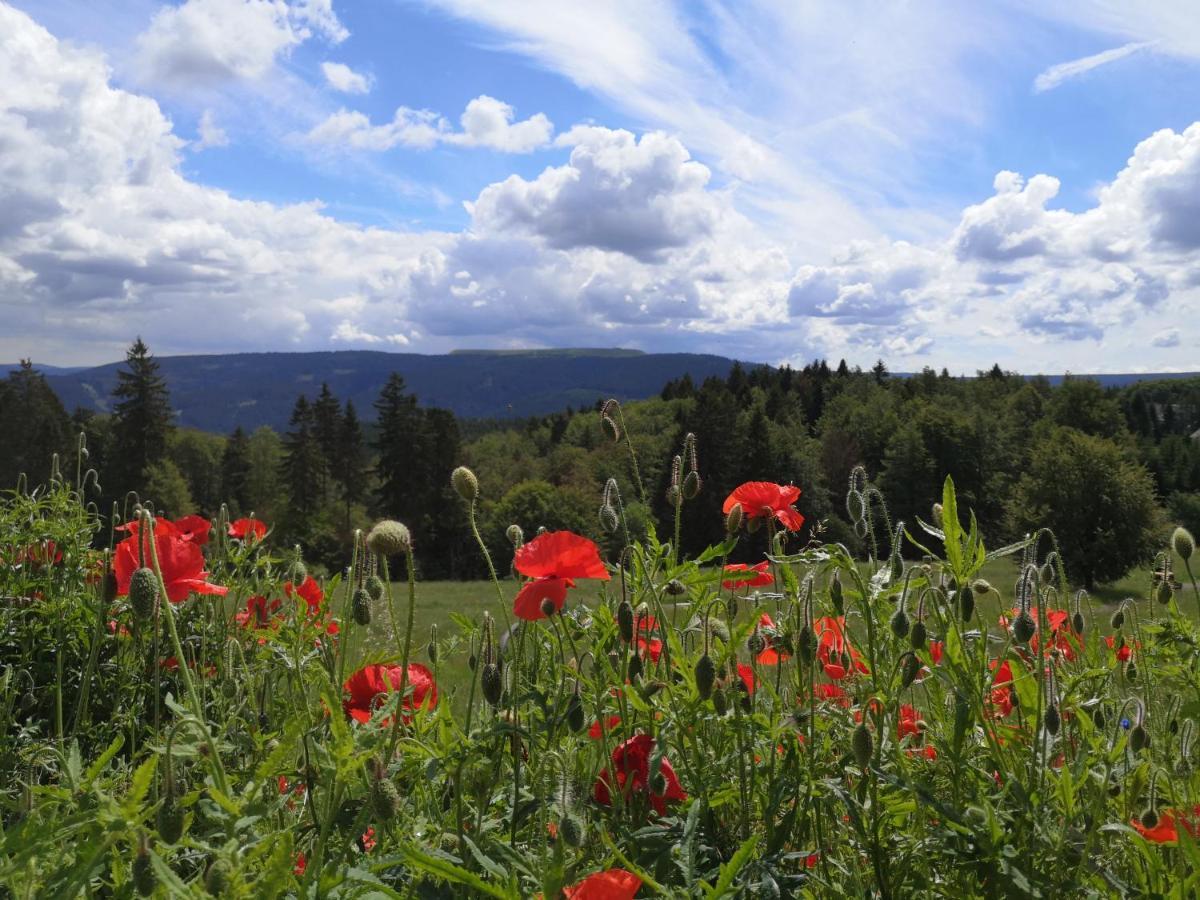 Hotel Schoene Aussicht Masserberg Esterno foto