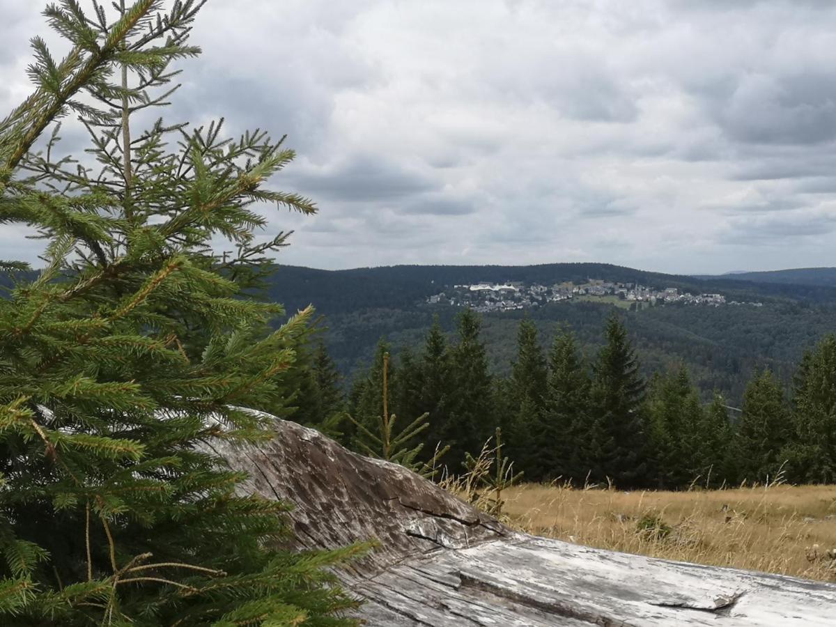 Hotel Schoene Aussicht Masserberg Esterno foto