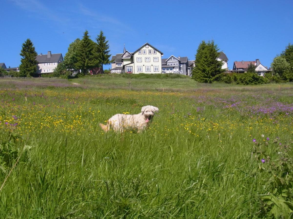 Hotel Schoene Aussicht Masserberg Esterno foto