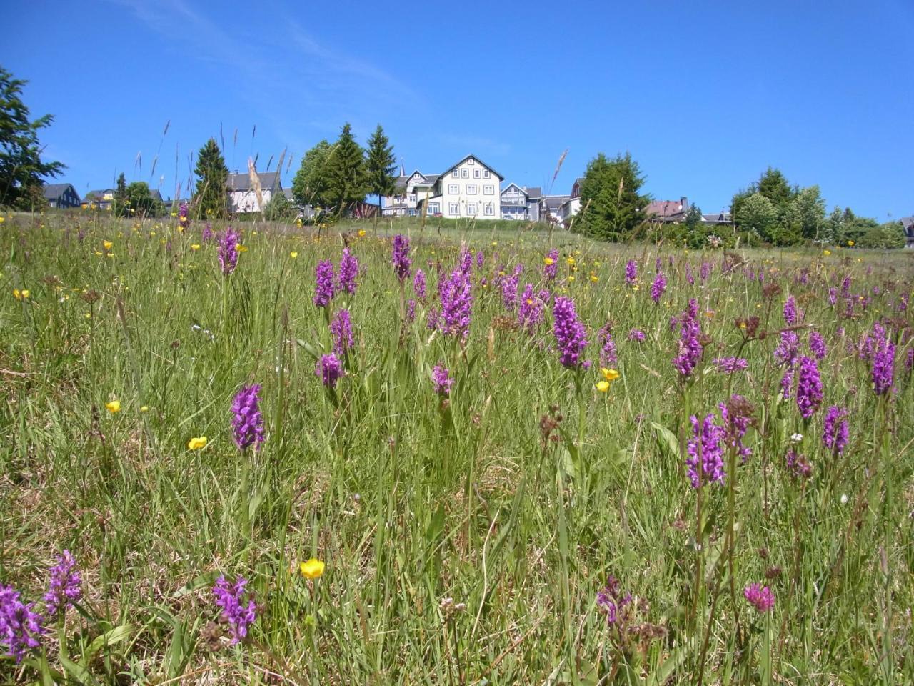 Hotel Schoene Aussicht Masserberg Esterno foto